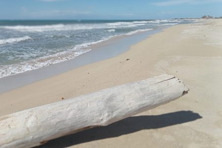 Le migliori spiagge in Salento