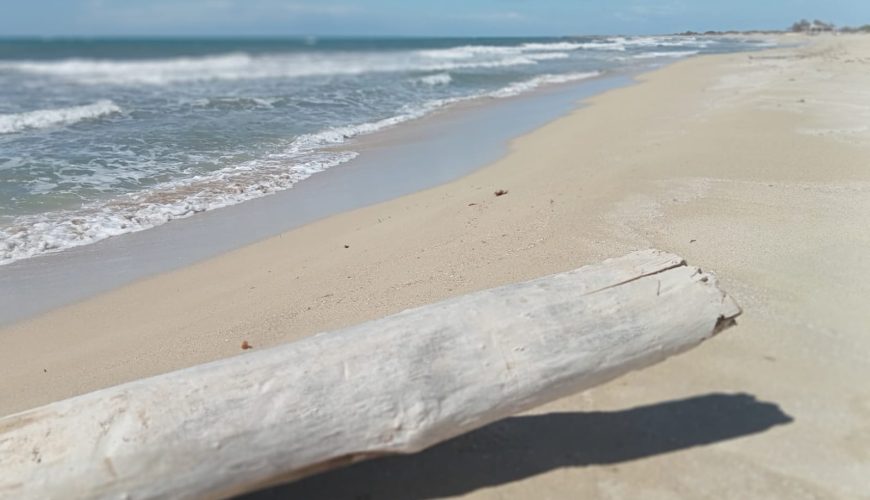 Migliori spiagge in salento - Villa Graziella