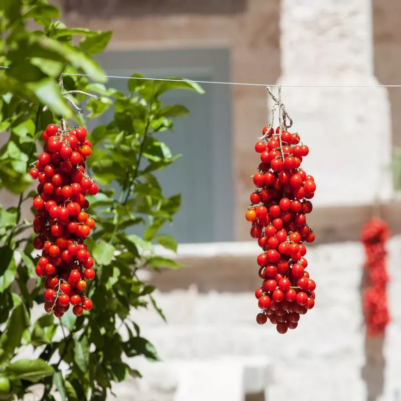 Dove Mangiare in salento